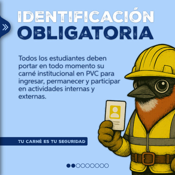 carrusel seguridad-02